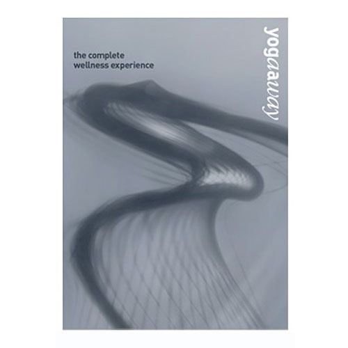 04 Dvd Yoga The Complete Wellness Experience